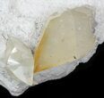 Gemmy, Twinned Calcite Crystals on Barite - Elmwood #33806-1